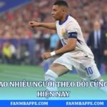 Mbappe Có Bao Nhiêu Người Theo Dõi Cùng Fan Mbappe Hiện Nay